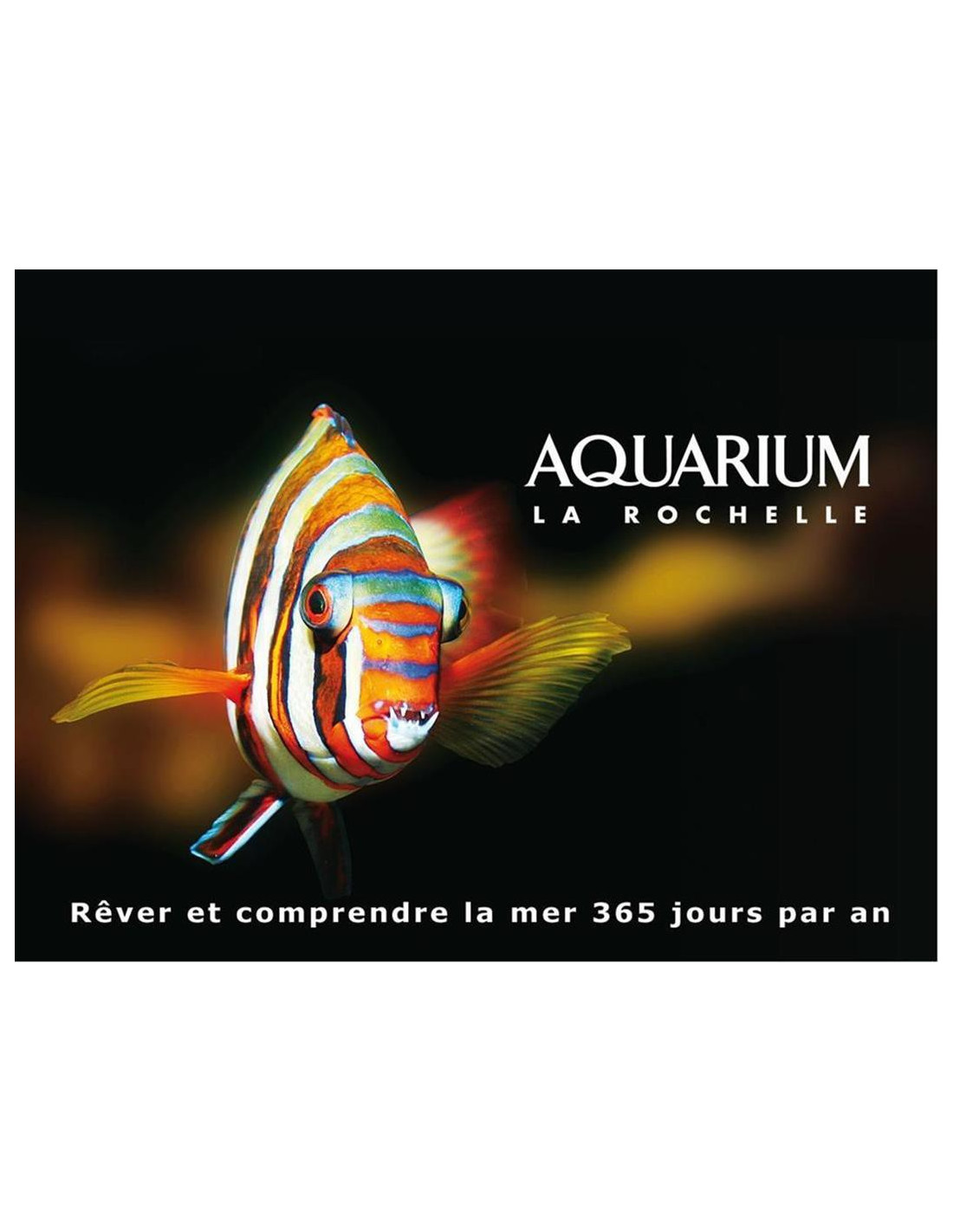 Code Promo Aquarium La Rochelle Aout 2022 Billets Aquarium de la Rochelle